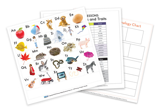 Literacy Footprints Intervention Chart Cards