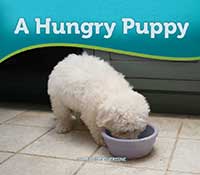 A Hungry Puppy