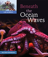 Beneath the Ocean Waves