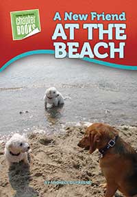A New Friend at the Beach