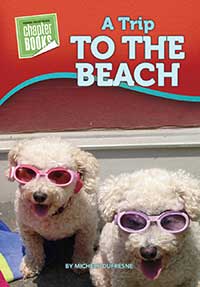 A Trip to the Beach
