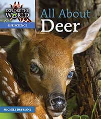 All About Deer