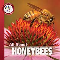All About Honeybees