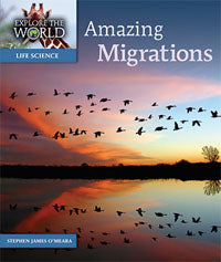 Amazing Migrations