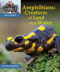 Amphibians: Creatures of Land and Water