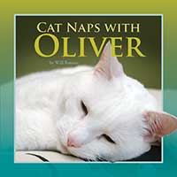Cat Naps with Oliver