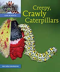 Creepy, Crawly Caterpillars
