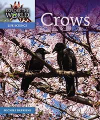 Crows