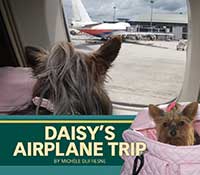 Daisy’s Airplane Trip