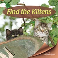 Find the Kittens