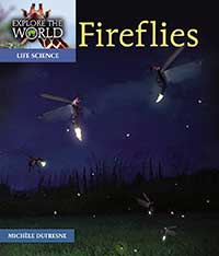 Fireflies