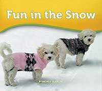 Fun in the Snow
