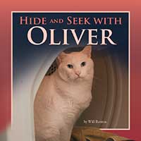 Hide and Seek with Oliver