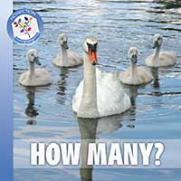 How Many?
