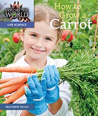 How to Grow a Carrot