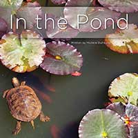 In the Pond