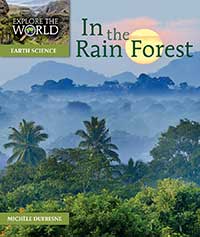 In the Rain Forest