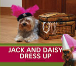 Jack and Daisy Dress Up