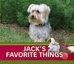 Jack’s Favorite Things