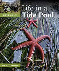 Life in a Tide Pool