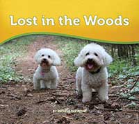 Lost in the Woods