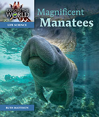 Magnificent Manatees