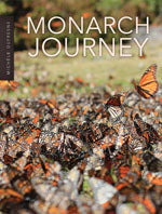 Monarch Journey