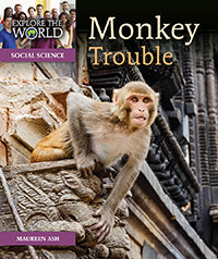 Monkey Trouble