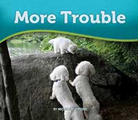 More Trouble