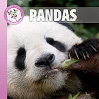 Pandas