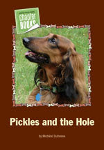 Pickles and the Hole
