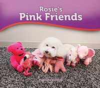 Rosie’s Pink Friends