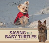Saving the Baby Turtles