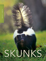 Skunks