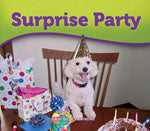 Surprise Party