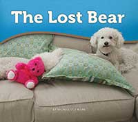The Lost Bear