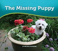 The Missing Puppy