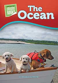 The Ocean