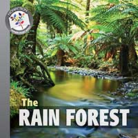 The Rain Forest