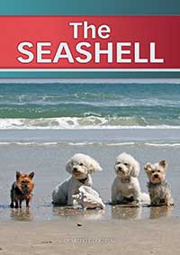 The Seashell