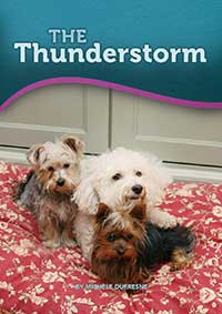 The Thunderstorm