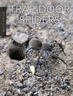 Trap-Door Spiders