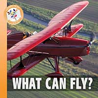 What Can Fly?