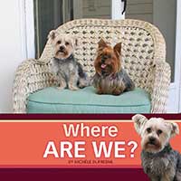 Where Are We?