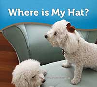 Where is My Hat?