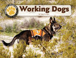 Working Dogs