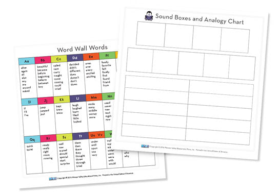 Word Wall/Analogy Chart Cards Second Grade
